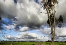 金年会官方网站今晚埃因霍温备战欧超杯冲刺阶段皇家社会调整名单以备意大利杯，这一次真的Uzi在澳大利亚队比赛中势不可挡的简单介绍